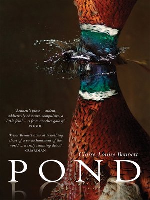 cover image of Pond